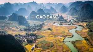 chuyển phát nhanh tại cao bằng